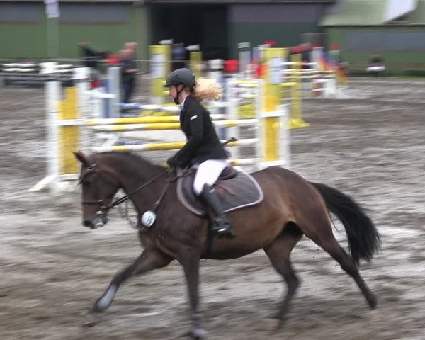 Reitturnier Süderlügum 2019