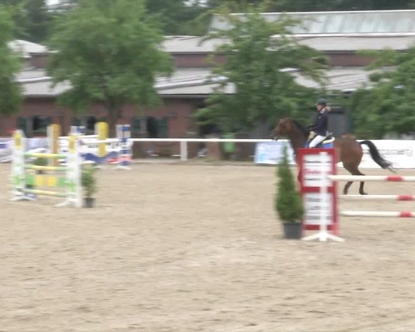 Reitturnier RA Haren/Lüssing 2019