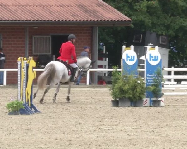 Reitturnier RA Haren/Lüssing 2019