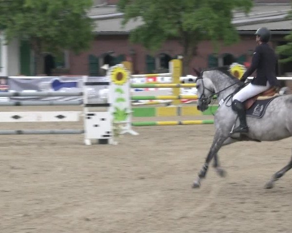 Reitturnier RA Haren/Lüssing 2019