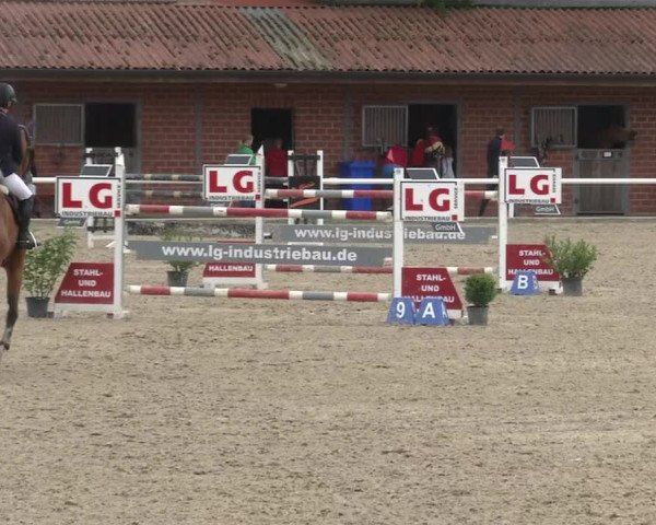 Reitturnier RA Haren/Lüssing 2019