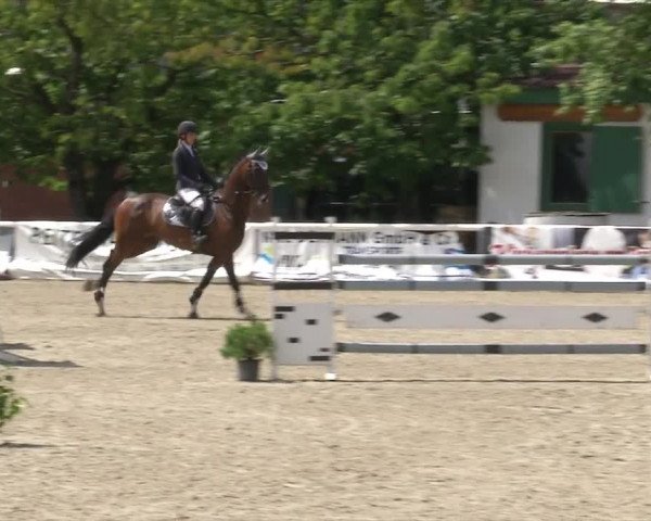 Reitturnier RA Haren/Lüssing 2019