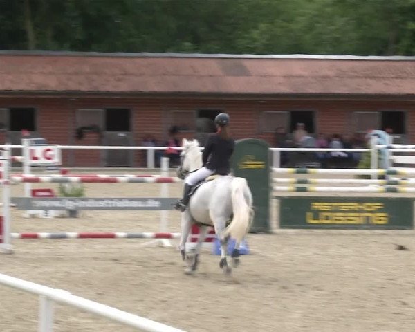 Reitturnier RA Haren/Lüssing 2019