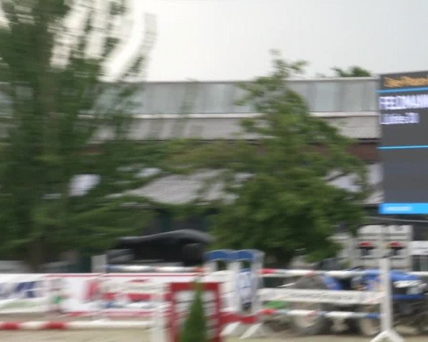 Reitturnier RA Haren/Lüssing 2019