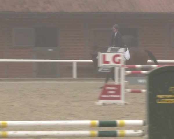 Reitturnier RA Haren/Lüssing 2019