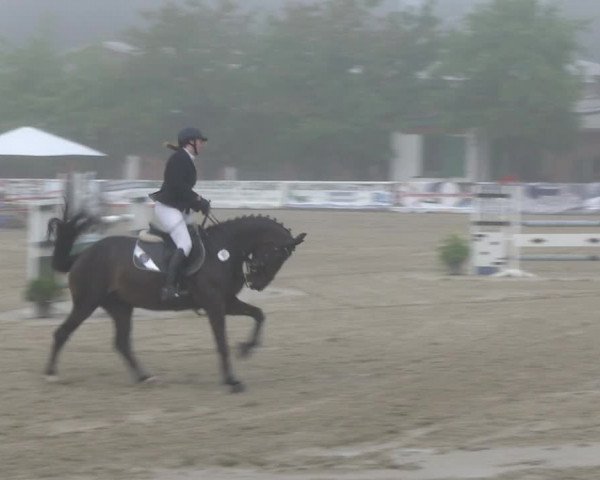Reitturnier RA Haren/Lüssing 2019