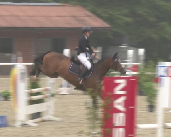 Reitturnier RA Haren/Lüssing 2019