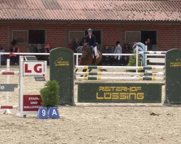 Reitturnier RA Haren/Lüssing 2019