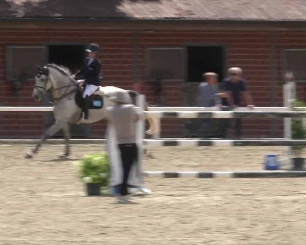 Reitturnier RA Haren/Lüssing 2019