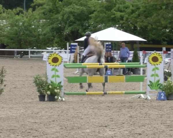 Reitturnier RA Haren/Lüssing 2019