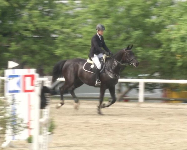 Reitturnier RA Haren/Lüssing 2019