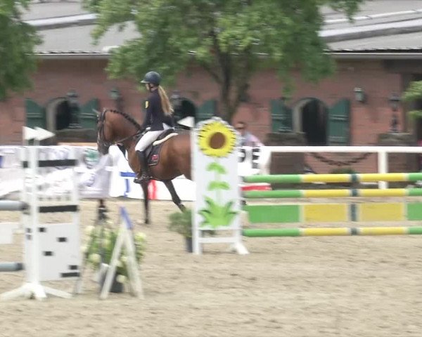Reitturnier RA Haren/Lüssing 2019