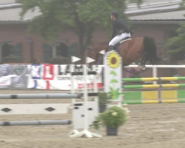 Reitturnier RA Haren/Lüssing 2019