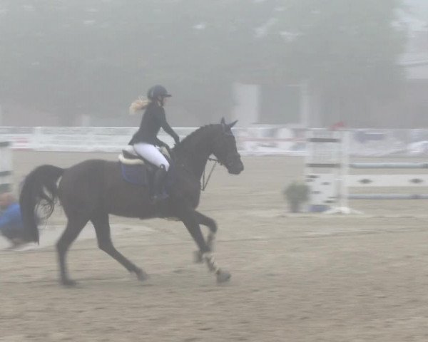 Reitturnier RA Haren/Lüssing 2019