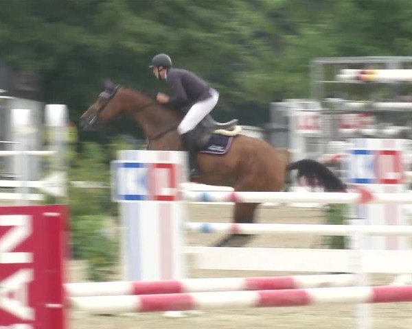 Reitturnier RA Haren/Lüssing 2019