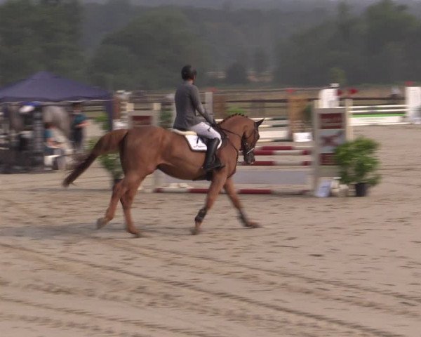 Reitturnier Hemer-Oese an der Edelburg 2019