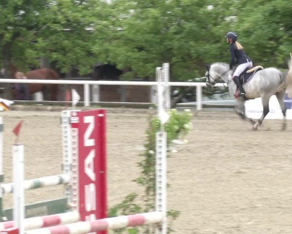 Reitturnier RA Haren/Lüssing 2019
