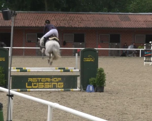 Reitturnier RA Haren/Lüssing 2019