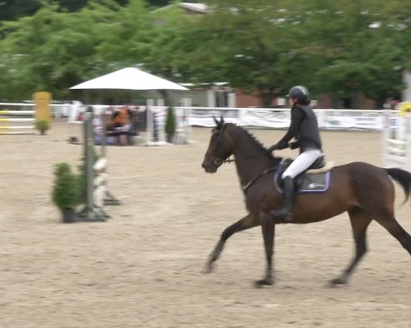 Reitturnier RA Haren/Lüssing 2019