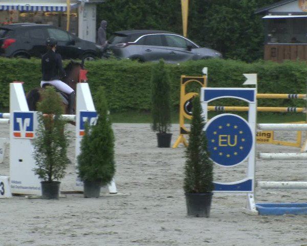 Reitturnier Vlotho-Exter 2019