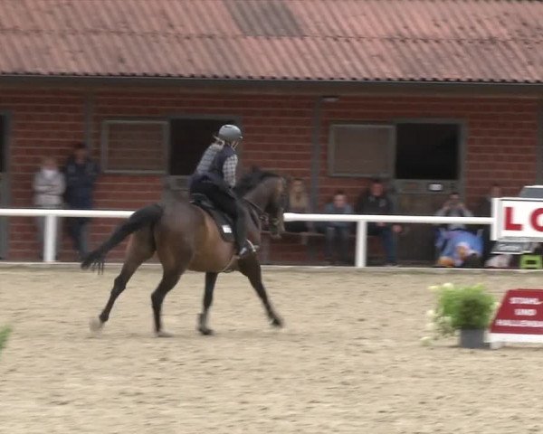 Reitturnier RA Haren/Lüssing 2019