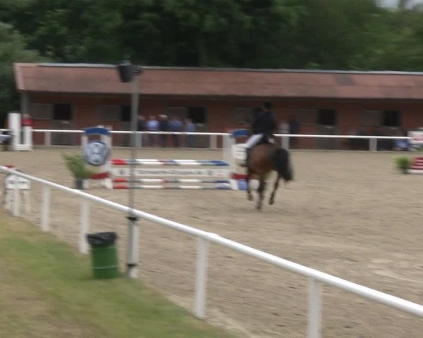Reitturnier RA Haren/Lüssing 2019