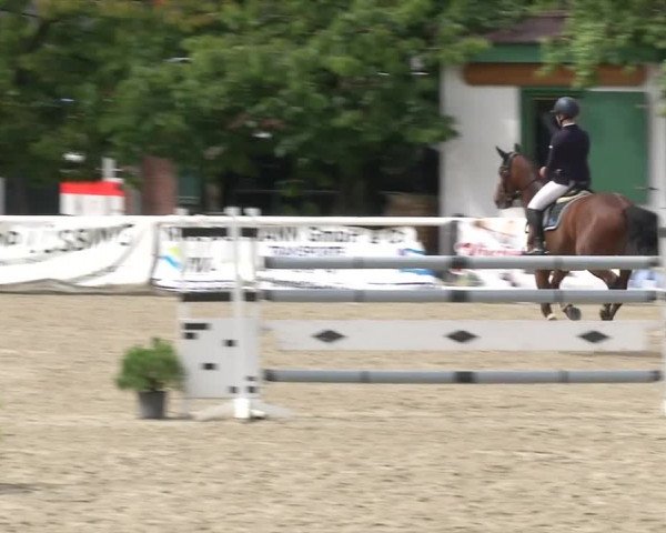 Reitturnier RA Haren/Lüssing 2019