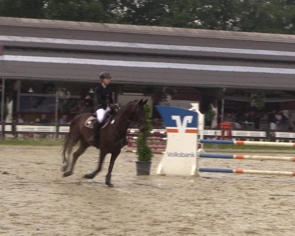 Reitturnier Münster-Roxel 2019