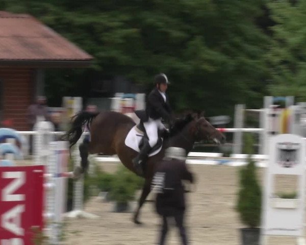 Reitturnier RA Haren/Lüssing 2019