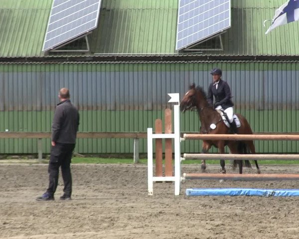 Reitturnier Süderlügum 2019