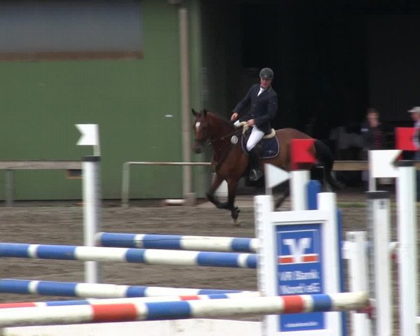 Reitturnier Süderlügum 2019