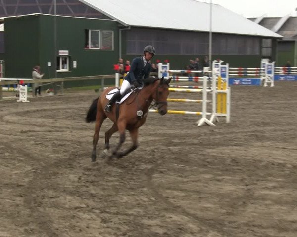 Reitturnier Süderlügum 2019
