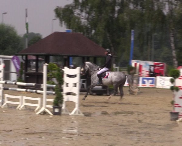 Reitturnier Münster-Roxel 2019