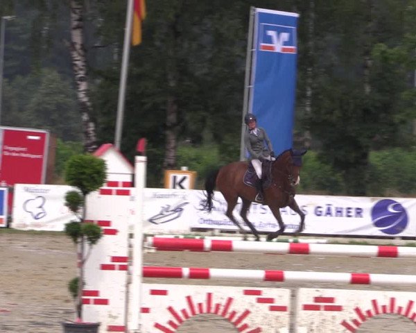 Reitturnier Münster-Roxel 2019