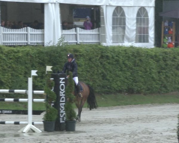 Reitturnier Vlotho-Exter 2019