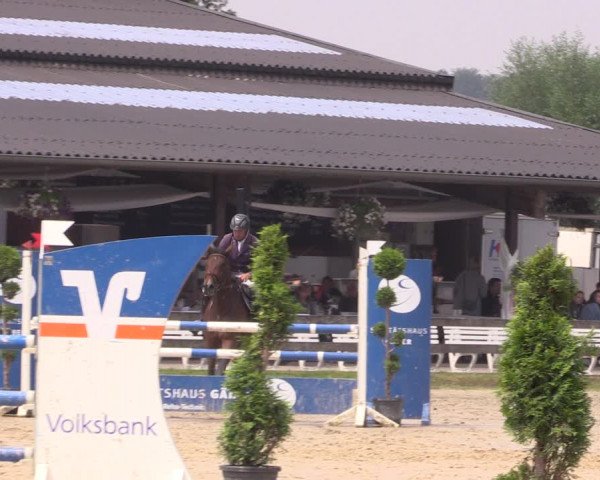 Reitturnier Münster-Roxel 2019