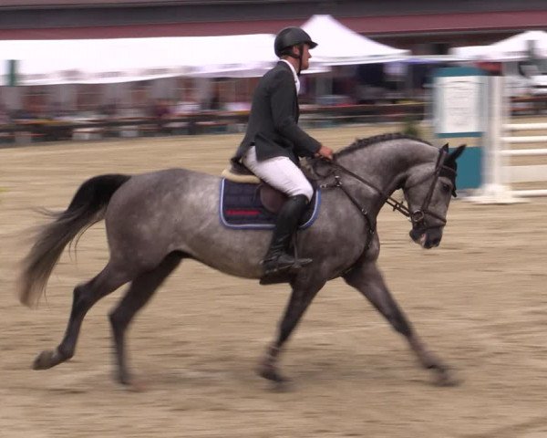 Reitturnier Hemer-Oese an der Edelburg 2019