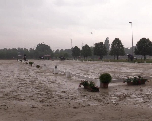 Reitturnier Münster-Roxel 2019