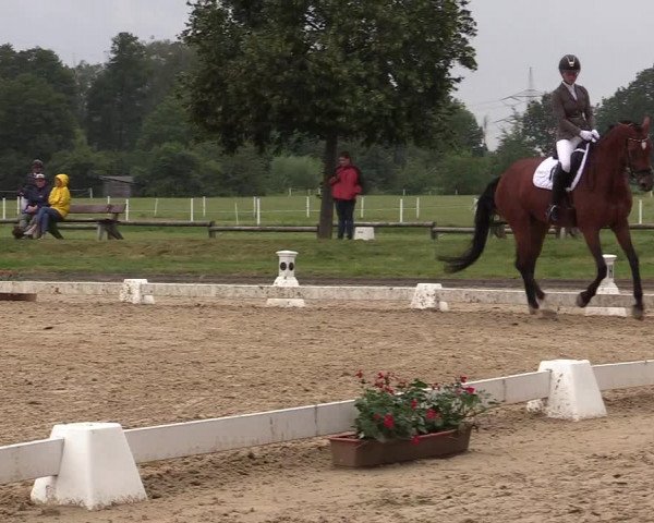 Reitturnier Münster-Roxel 2019