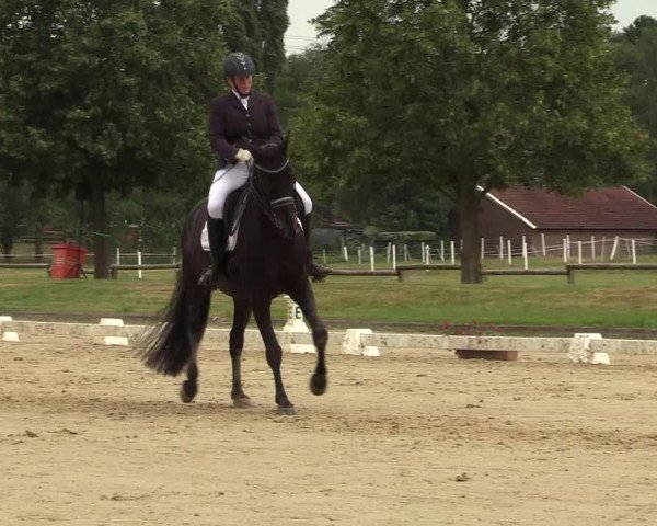 Reitturnier Münster-Roxel 2019