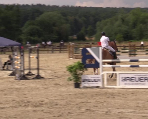 Reitturnier Hemer-Oese an der Edelburg 2019