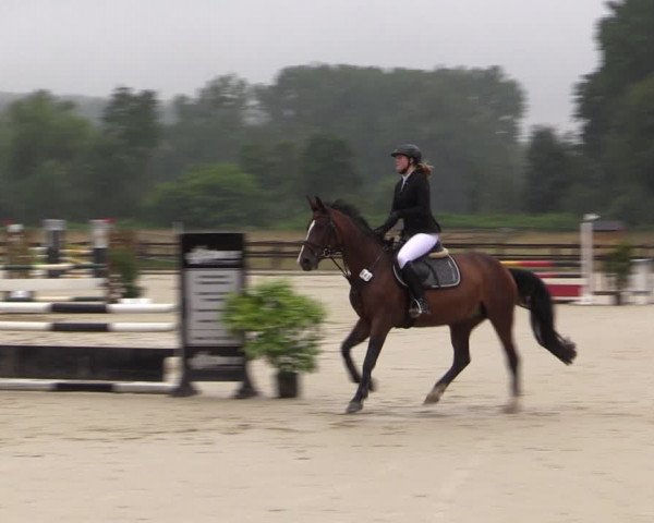Reitturnier Hemer-Oese an der Edelburg 2019