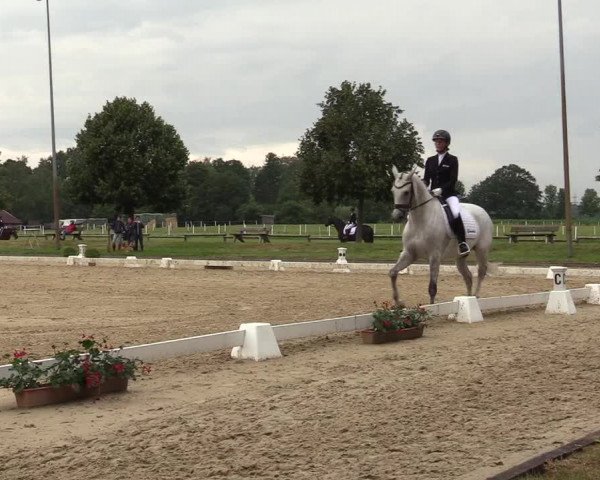 Reitturnier Münster-Roxel 2019