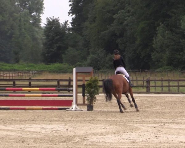 Reitturnier Hemer-Oese an der Edelburg 2019