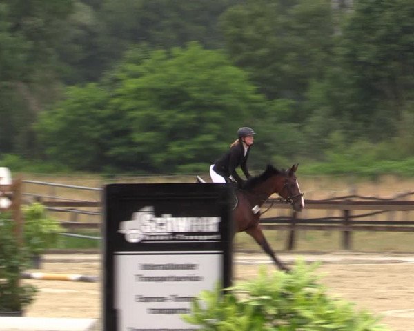 Reitturnier Hemer-Oese an der Edelburg 2019