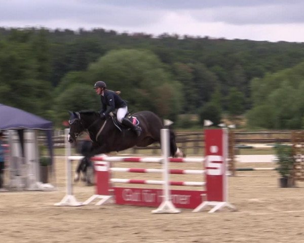 Reitturnier Hemer-Oese an der Edelburg 2019