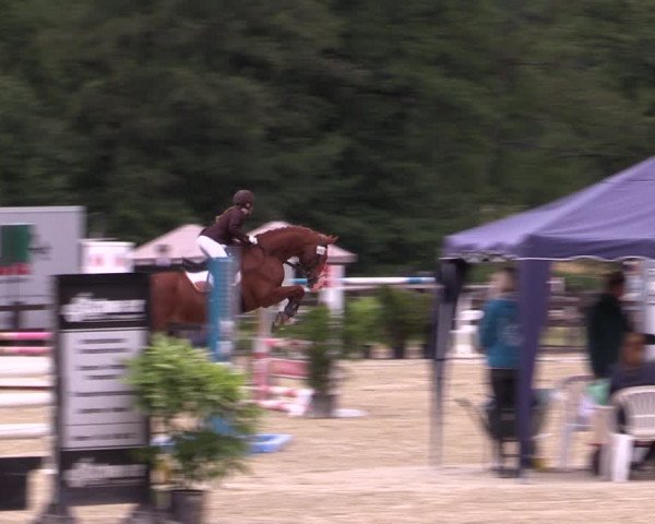 Reitturnier Hemer-Oese an der Edelburg 2019