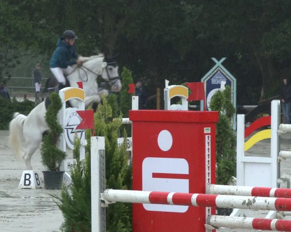 Reitturnier Vlotho-Exter 2019