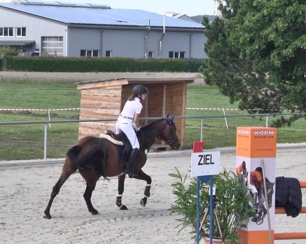 Springturnier Sonnenbühl-Undingen 2021