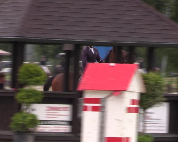 Reitturnier Münster-Roxel 2019